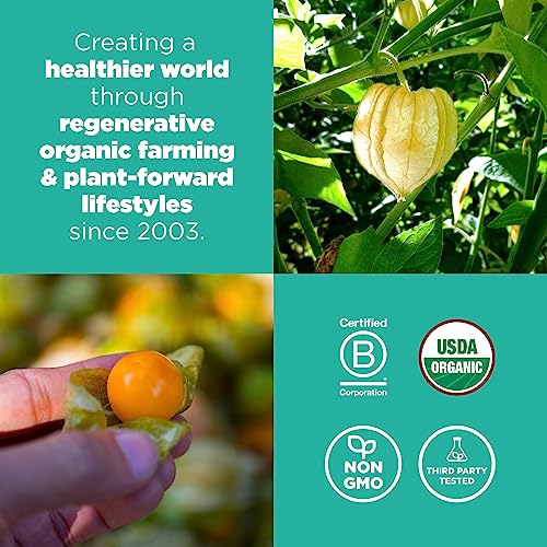 Navitas Organics Goldenberries - Nutrient-Rich Superfood, Organic & Non-GMO - 8 oz Bag