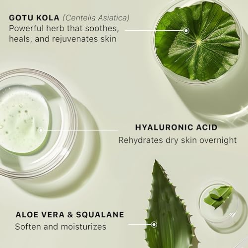 Hyaluronic Acid Face Moisturizer - Deep Hydration, Anti-Aging, Organic Ingredients - 4oz