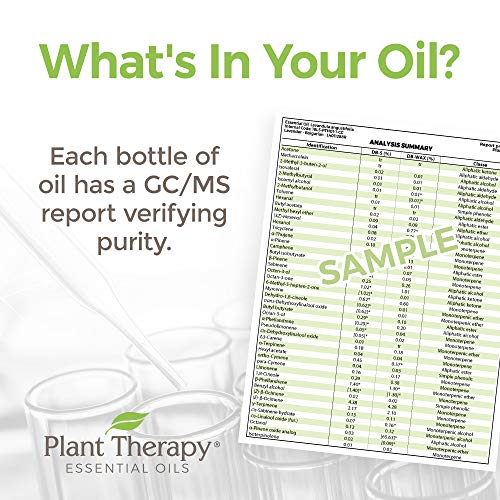 Plant Therapy Marjoram Sweet Essential Oil - Calming Relief for Sleep & Muscle Soreness - 10ml