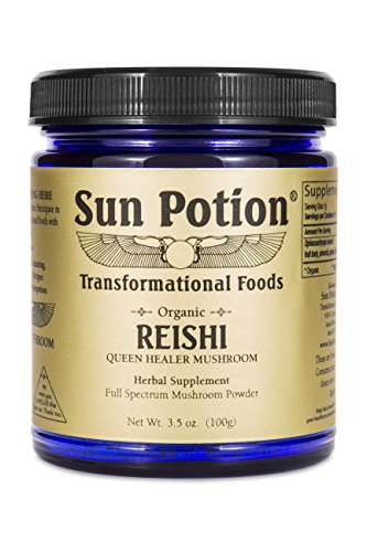 Sun Potion Reishi Mushroom Powder - Enhances Well-Being, Supports Immune Health - 100g