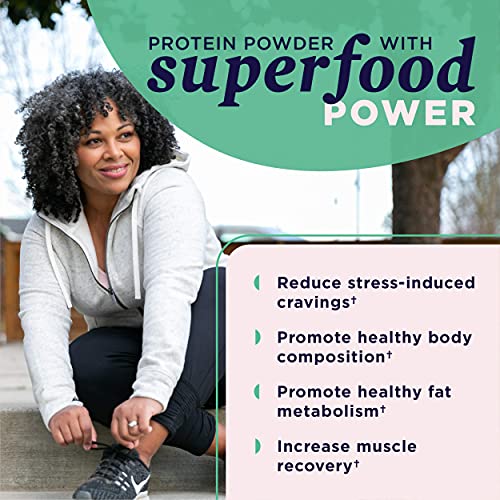 Ancient Nutrition Plant Protein Powder - 15g Protein, Vegan, Non-GMO, Vanilla Flavor - 11.5oz