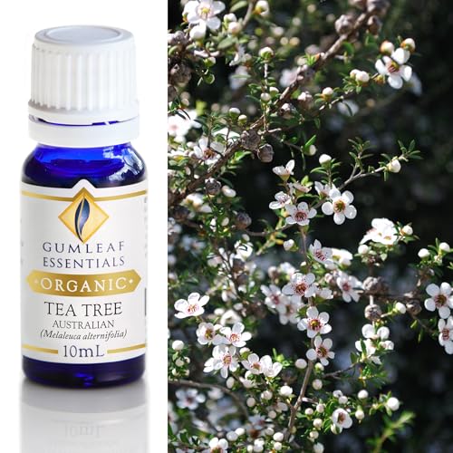 Gumleaf Essentials Organic Tea Tree Essential Oil - 100% Pure, Cruelty-Free, 10ml
