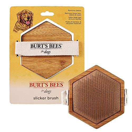 Burt's Bees for Pets Palm Slicker Brush - Softens Coat, Recycled Bamboo, Easy Grooming Tool