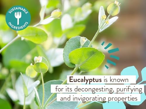 Babo Botanicals Eucalyptus Remedy - Soothing 2-in-1 Bubble Bath & Wash, EWG Verified - 12oz