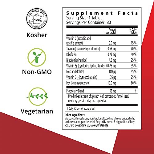 Floradix Iron Supplements - Natural Energy Support, Herbal Formula, Vegetarian - 80 Count