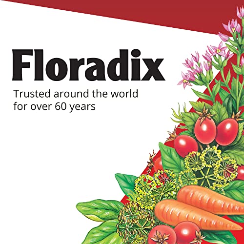Floradix Iron Supplements - Natural Energy Support, Herbal Formula, Vegetarian - 80 Count