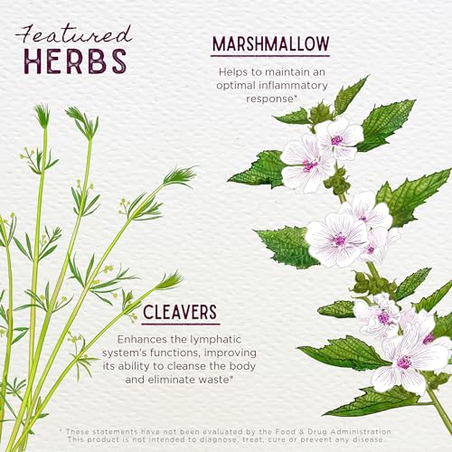 WishGarden Herbs Kidney Strength - Plant-Based Kidney Support with Buchu & Cornsilk - 2oz