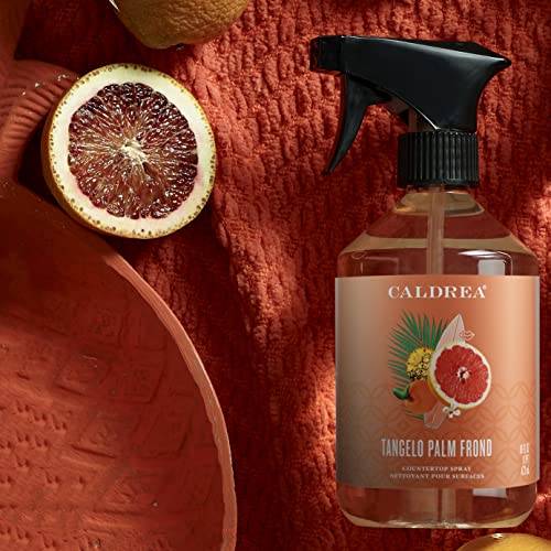 Caldrea Multi-Surface Cleaner - Odor Eliminator with Tangelo Palm Frond Scent - 16oz