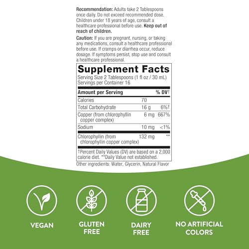 Nature's Way Chlorofresh Liquid Chlorophyll - Supports Detox & Healthy Skin, Mint Flavor - 16 Fl Oz