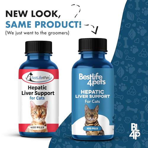 BestLife4Pets Hepatic Cat Liver Support - Natural Detox & Nutrient Boost, 100% Chemical-Free