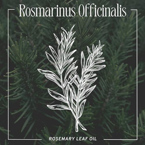 Captain Blankenship Hair Oil - Nourishing Serum with Rosemary, Vegan, 2 oz for Frizz Control