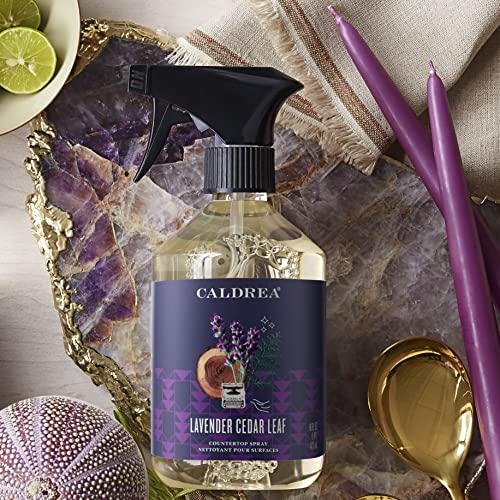 Caldrea Multi-Surface Cleaner - Odor Remover with Vegetable Extract, Lavender Cedar Leaf - 16oz