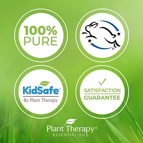 Plant Therapy Marjoram Sweet Essential Oil - Calming Relief for Sleep & Muscle Soreness - 10ml