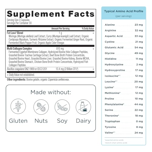 Ancient Nutrition Advanced Collagen Protein - Supports Weight Loss & Metabolism Boost - 90 Count