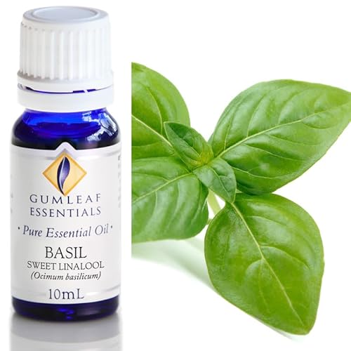 Gumleaf Essentials Basil Sweet Linalool Essential Oil - Uplifts Mood, 100% Pure - 10ml