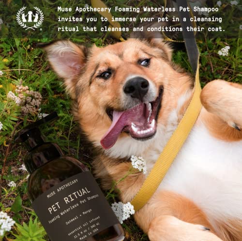 Muse Apothecary Dog Shampoo - Deep Cleansing Foam, Essential Oils & Oatmeal + Mango - 11.5oz