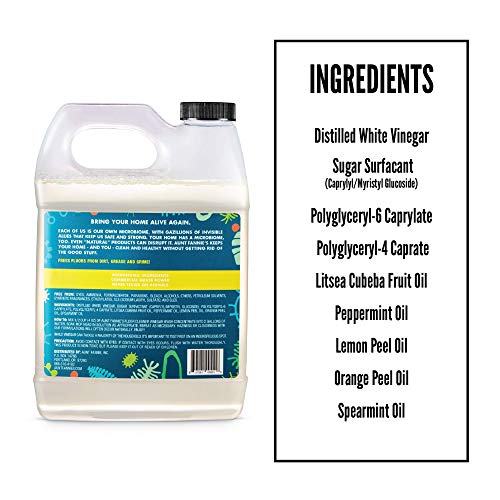 Aunt Fannie's Cleaning Essentials Set - Non-Toxic Floor Cleaner & Wipes, Bright Lemon - 35ct