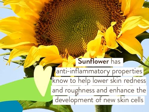 Babo Botanicals Mineral Sunscreen SPF 50 - Water Resistant, Fragrance-Free, EWG Verified - 3oz