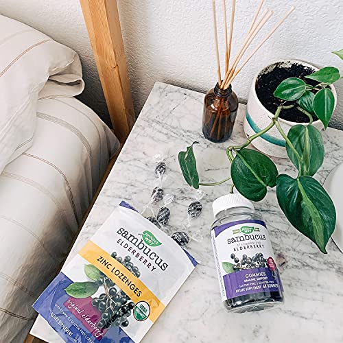Nature's Way Organic Sambucus Zinc Lozenges - Immune Support, Vegan & Gluten Free - 24 Count
