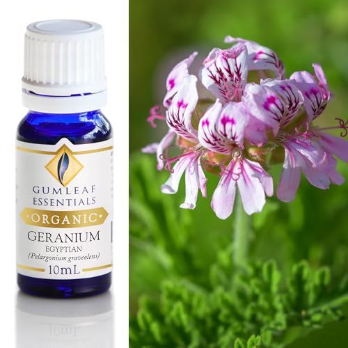 Gumleaf Essentials Organic Geranium Essential Oil - 100% Pure, Certified Organic - 10ml
