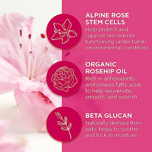 Andalou Naturals Lip Mask - Hydrating Overnight Treatment with Alpine Rose Cells - 0.42 Oz