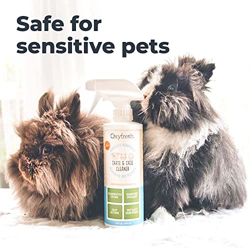 Oxyfresh Pet Odor & Stain Remover - Fast-Acting, Safe Formula for Small Animals, 16oz
