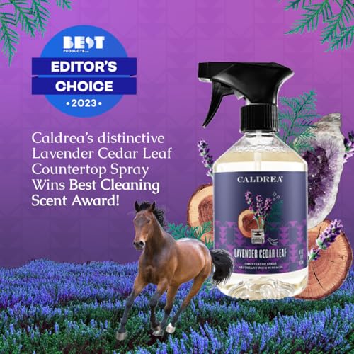 Caldrea Multi-Surface Cleaner - Odor Remover with Vegetable Extract, Lavender Cedar Leaf - 16oz