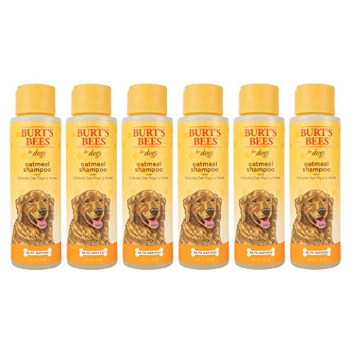 Burt's Bees Natural Oatmeal Dog Shampoo - Soothes Dry Skin & Coat, pH Balanced - 16oz Pack of 6