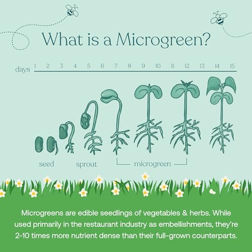 True Grace MicroVeggies Superfood Powder - Boosts Immune Health, Vegan, Regenerative Organic - 0.4oz