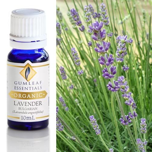 Gumleaf Essentials Bulgarian Lavender Essential Oil - 100% Pure, Certified Organic - 10ml