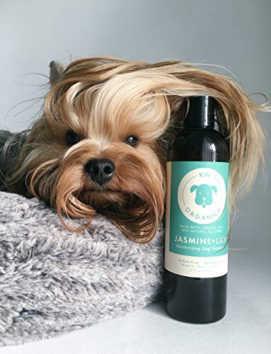kin+kind Jasmine+Lily Organic Dog Shampoo - Moisturizes with USDA Certified Ingredients - 12oz