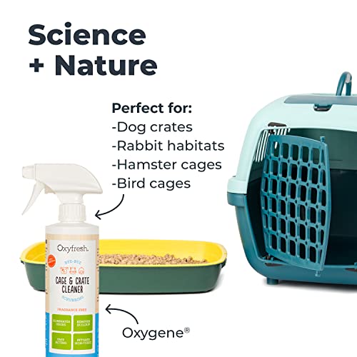 Oxyfresh Pet Odor & Stain Remover - Fast-Acting, Safe Formula for Small Animals, 16oz