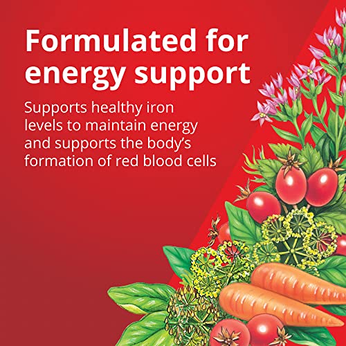 Floradix Iron Supplements - Natural Energy Support, Herbal Formula, Vegetarian - 80 Count