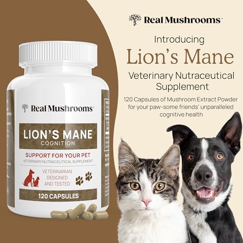 Real Mushrooms Lion's Mane Supplement - Cognitive Boost, Immunity Support - 300ct & 120ct