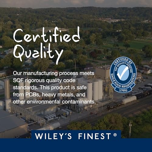 Wiley's Finest Vegan Omega-3 Gummies - 262mg Omega-3s, DHA from Algal Oil - Lemon Flavor, 60 Count
