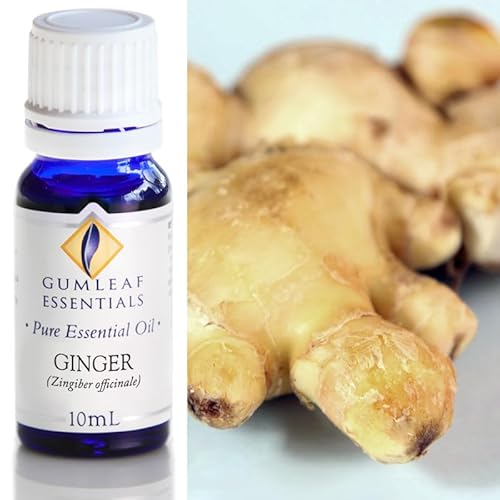 Gumleaf Essentials Ginger Essential Oil - Boosts Focus & Energy, 100% Pure - 10ml