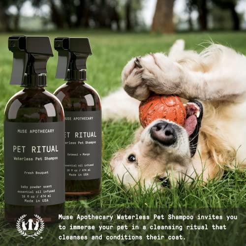 Muse Apothecary Waterless Dog Shampoo - Fresh Bouquet Scent, Plant-Derived, No Rinse - 16oz