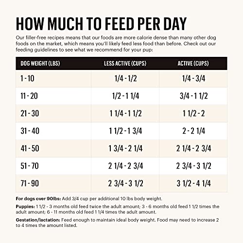 The Honest Kitchen Human Grade Beef Dry Dog Food - Complete Nutrition, 5 lb Bag