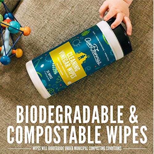 Aunt Fannie's Cleaning Essentials Set - Non-Toxic Floor Cleaner & Wipes, Bright Lemon - 35ct