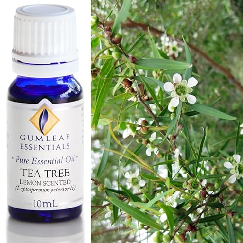 Gumleaf Essentials Tea Tree Lemon Essential Oil - Uplifting Aroma, 100% Pure, 10ml