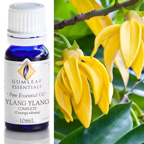 Gumleaf Essentials Ylang Ylang Essential Oil - Uplifting, 100% Pure, Cruelty-Free - 10ml