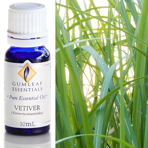 Gumleaf Essentials Vetiver Essential Oil - Calming & Grounding, Vegan, 100% Pure - 10ml