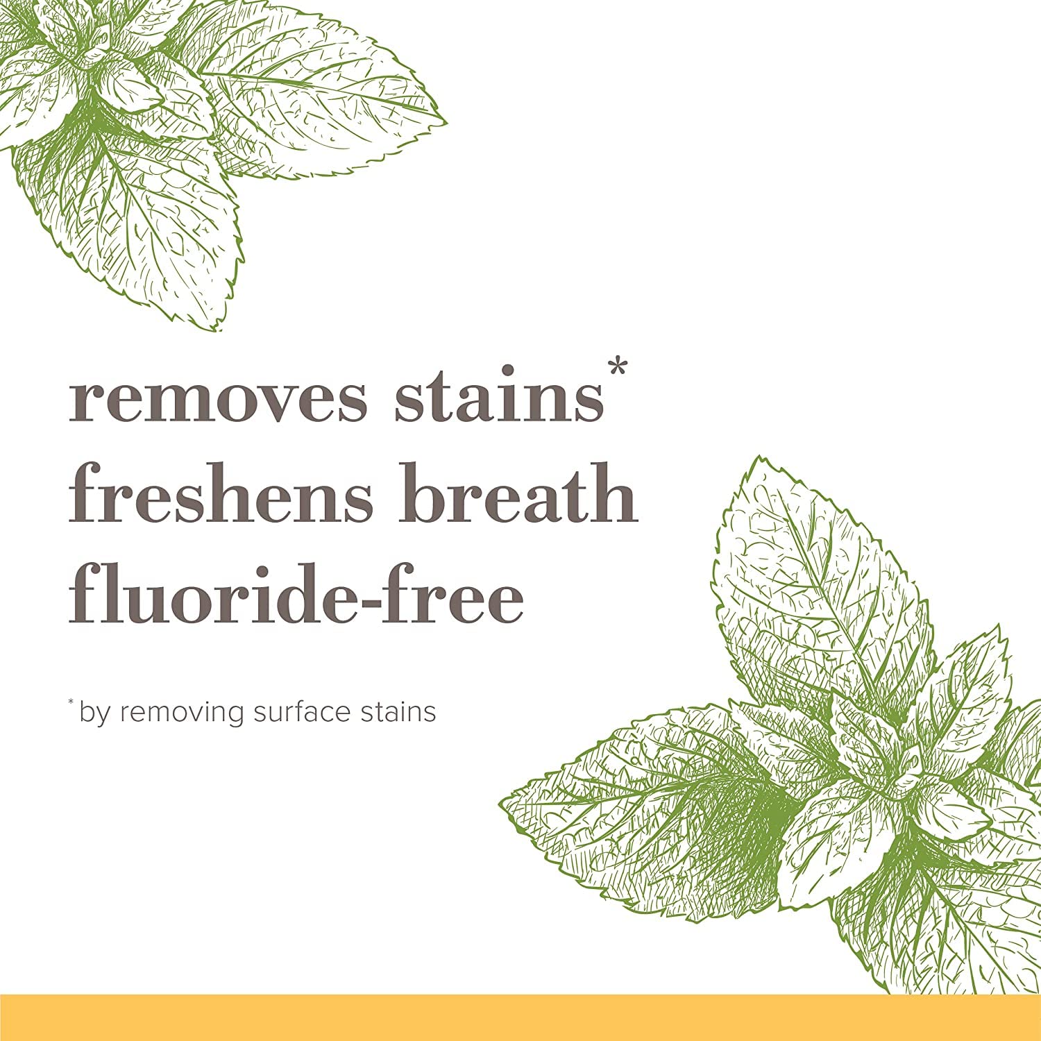 Burt's Bees Fluoride-Free Toothpaste - Zen Peppermint, Stain Removal, 4.7oz