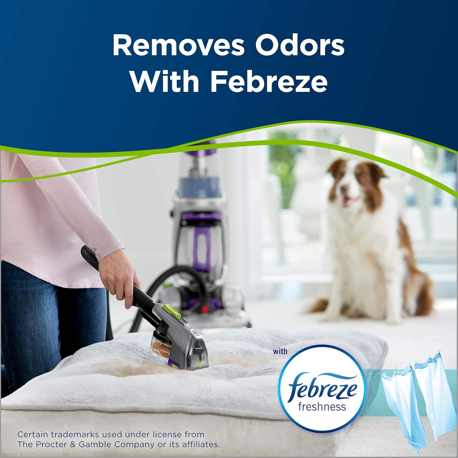 Bissell Pet Stain & Odor Remover - Eliminates Tough Stains, Biodegradable - 48oz