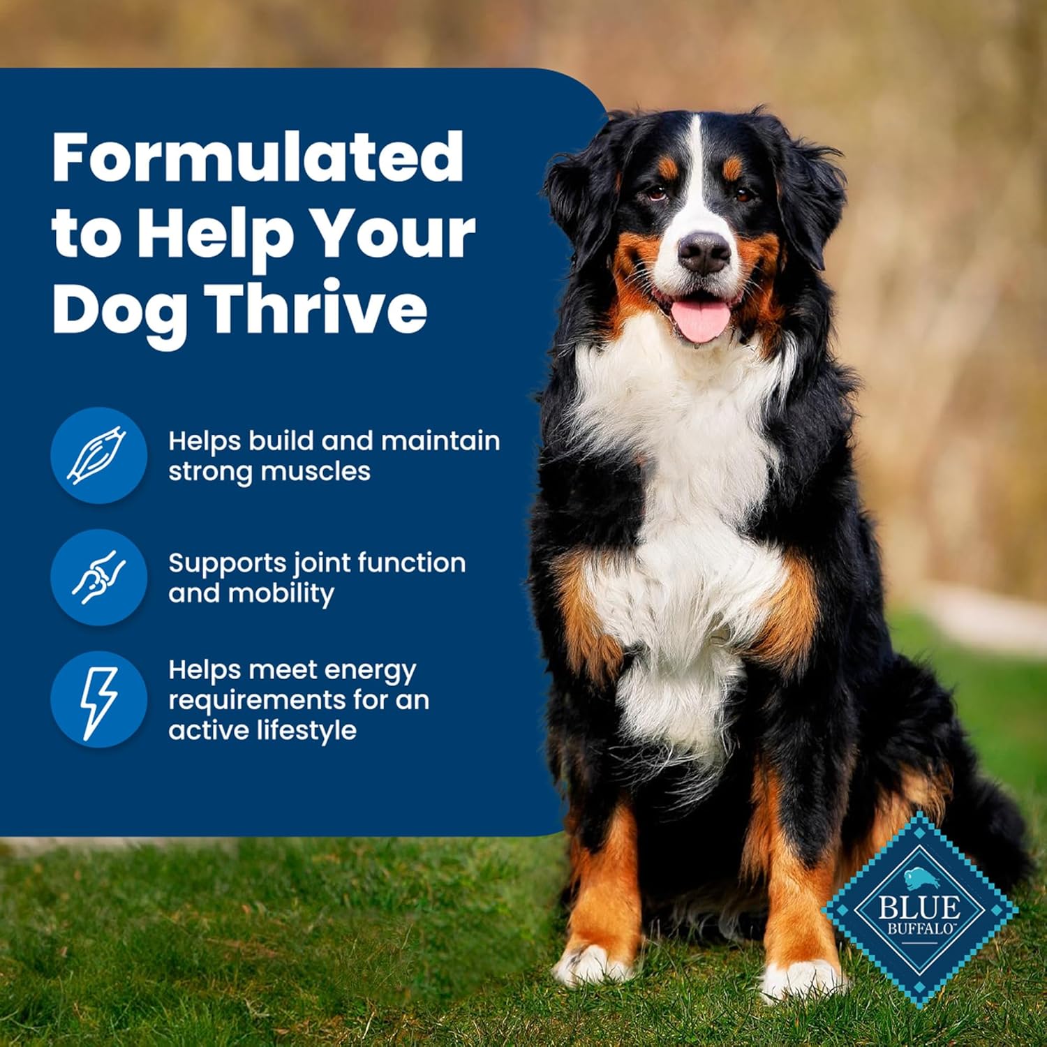 Blue Buffalo Life Protection Dry Dog Food - Real Chicken, Natural Ingredients & Nutrients - 15lb