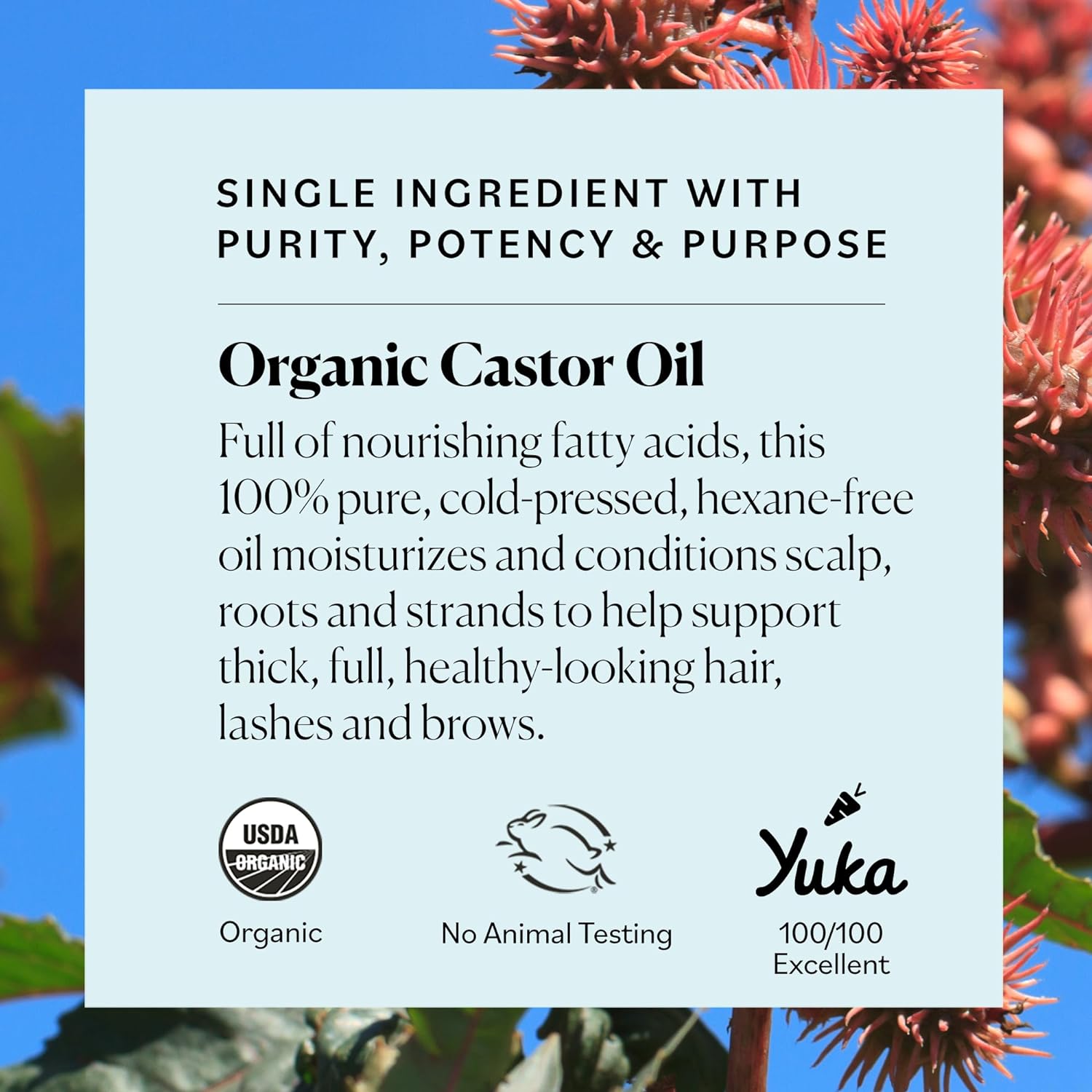Sky Organics Castor Oil - Nourishing for Hair, Skin & Lashes, USDA Organic, Hexane-Free - 16 fl oz