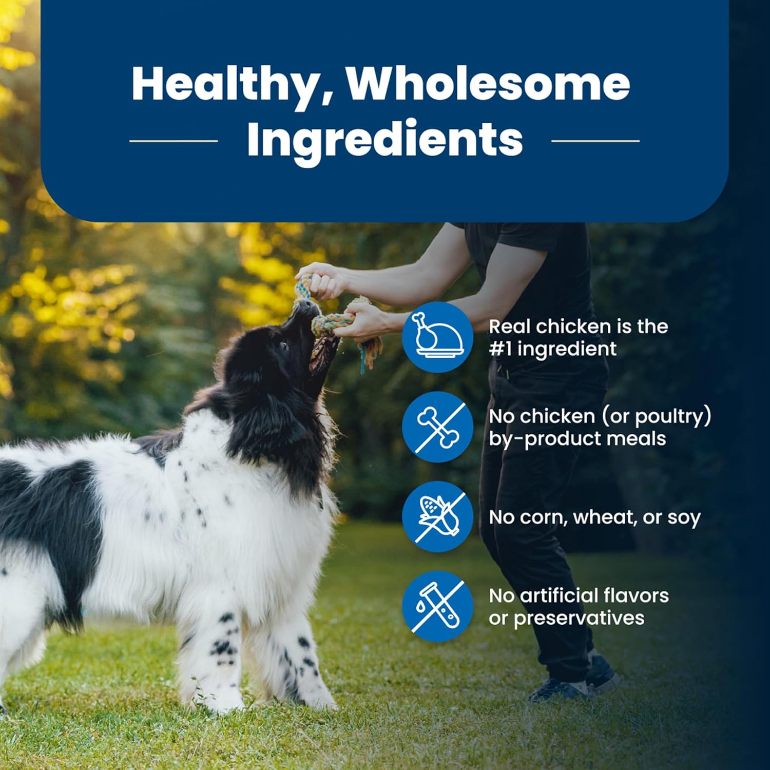 Blue Buffalo Life Protection Dry Dog Food - Real Chicken, Natural Ingredients & Nutrients - 15lb
