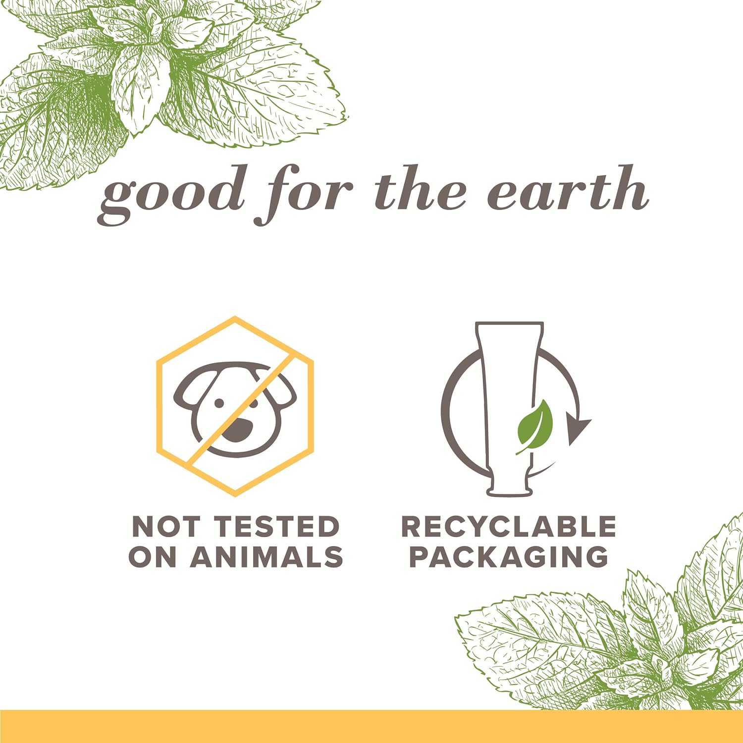 Burt's Bees Fluoride-Free Toothpaste - Zen Peppermint, Stain Removal, 4.7oz