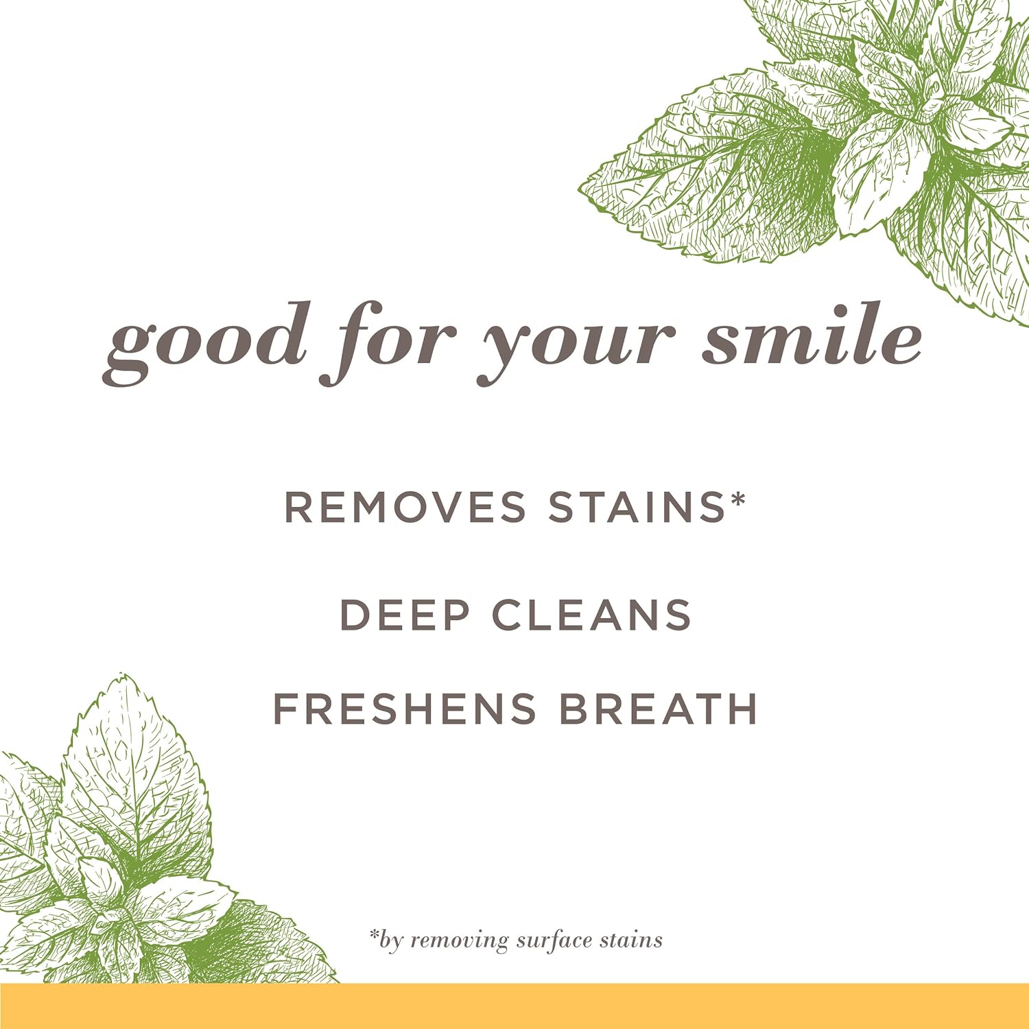 Burt's Bees Fluoride-Free Toothpaste - Zen Peppermint, Stain Removal, 4.7oz