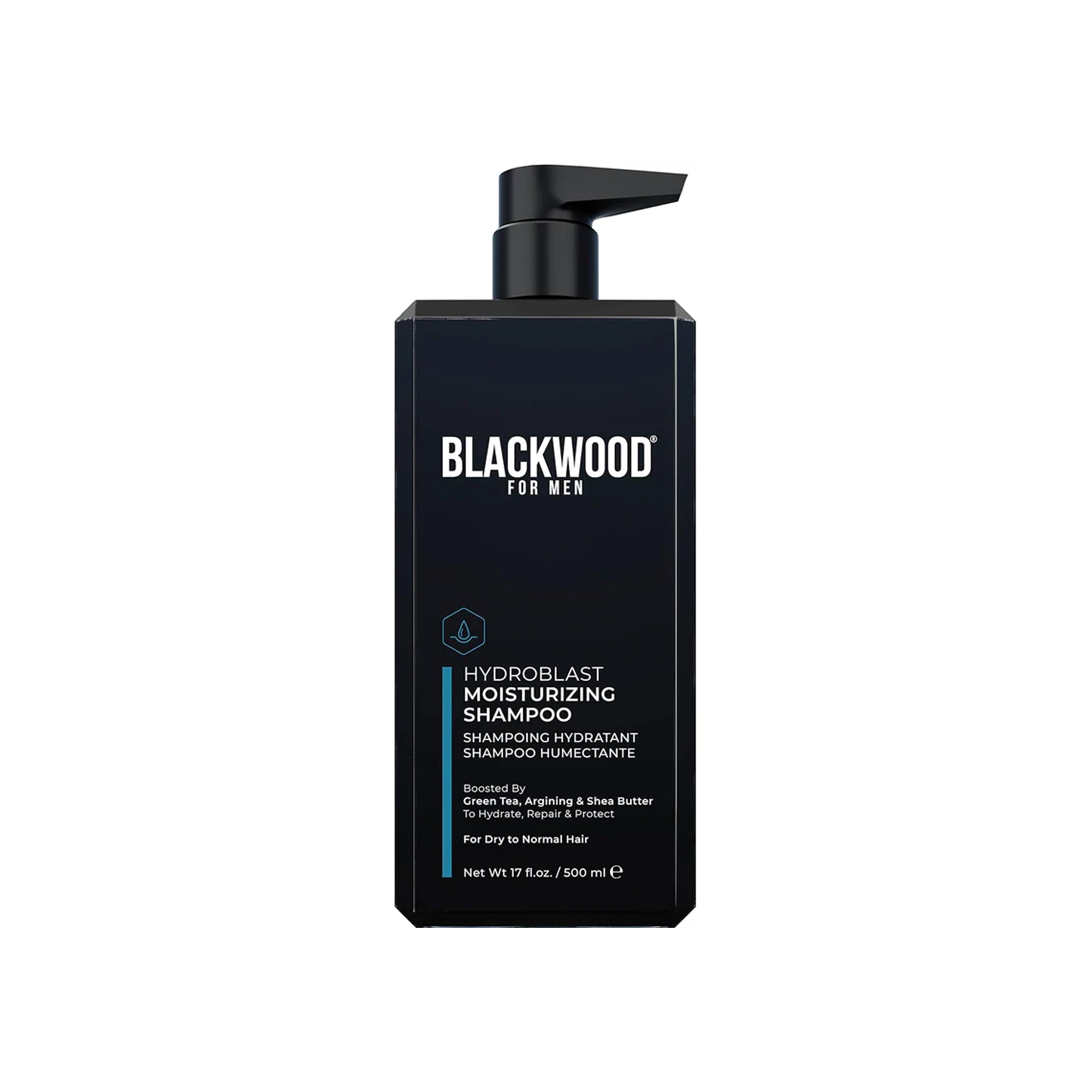 Blackwood For Men Shampoo - Moisturizes & Repairs Coarse, Curly Hair with Ginseng & Ginger - 17oz